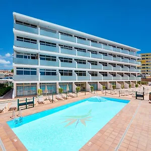 Strelitzias , Playa del Inglés Spagna